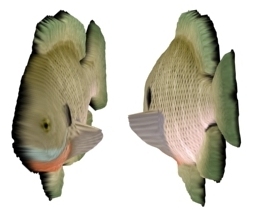 Fish - our depth estimate, textured