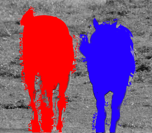 2_horses_cropped_31