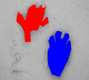footprints10morguejpg_30