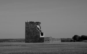 Carrigafoyle_Castle_Ext