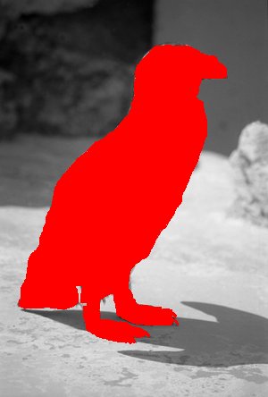 Cheeky_Penguin_13