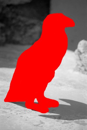 Cheeky_Penguin_20
