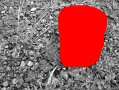 DSC01236_28
