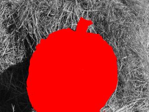 DSCF3772_32
