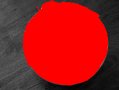 DSCN1908_31