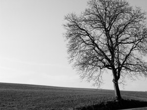 DSCN6805