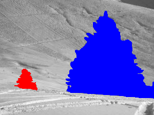 b19nature_trees071_15