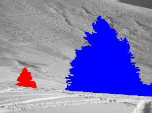 b19nature_trees071_23