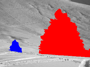 b19nature_trees071_3