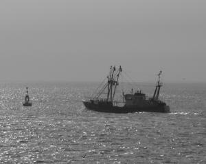 b20vehicles_water065