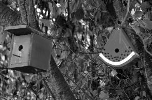 birdhouse_003