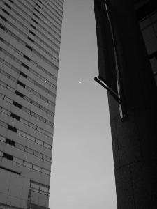 yokohm060409_DYJSN266