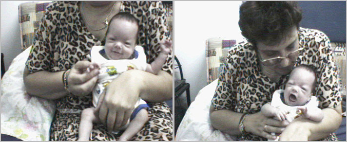 Shajar's Pictures