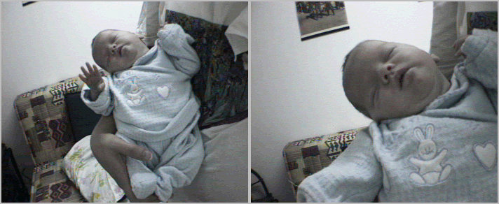 Noa's Pictures