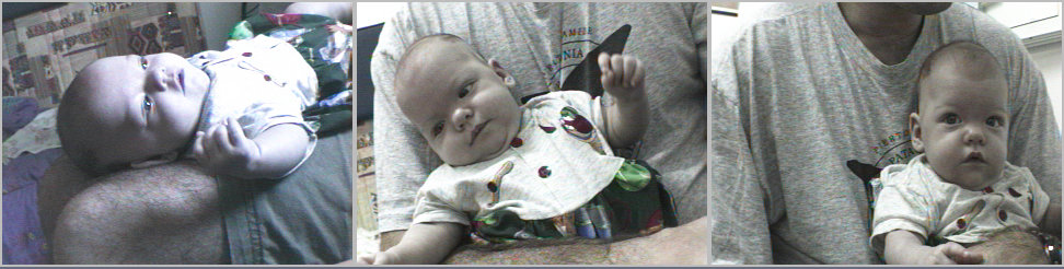 Noa's Pictures