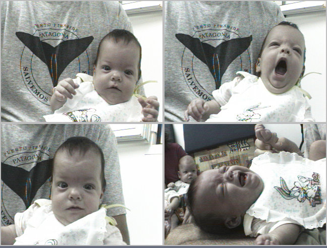 Shajar's Pictures