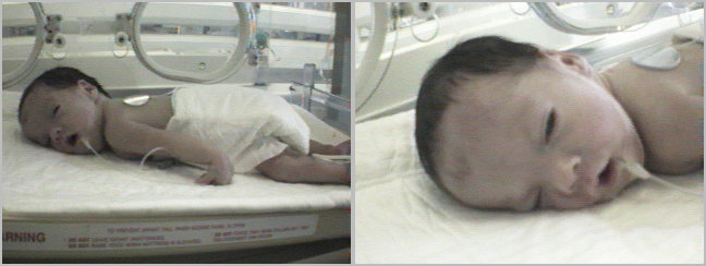 Shajar's Pictures