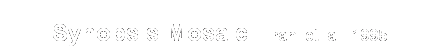 Text Box: Synopsis Mosaic  Irani et. al.  1995 
