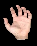 Hand - Input image