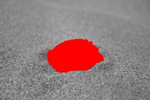 IMG_2577_25