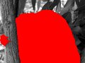 Humen_seg
