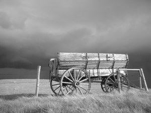 DSCF0034_l
