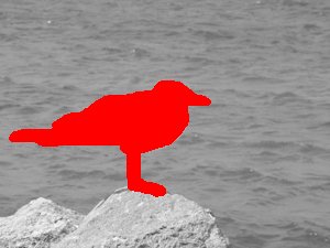DSCF0459_41