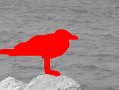 DSCF0459_41