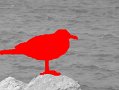 DSCF0459_43