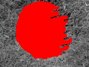 DSCN0756_30