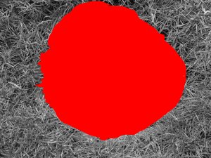 DSCN0756_32