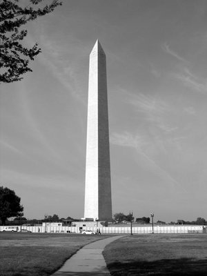 IMG_1516