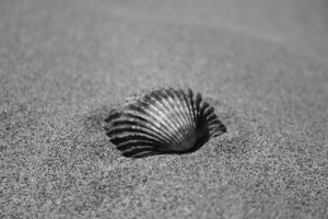 IMG_2577