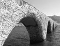 src_BW