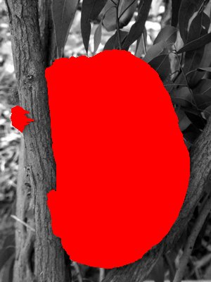 PIC106470172014_33