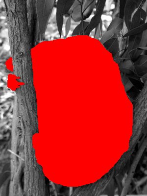 PIC106470172014_36