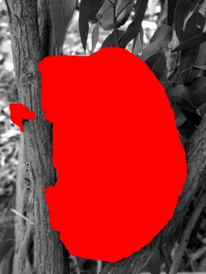 PIC106470172014_37