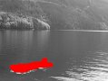 boy_float_lake_15