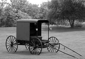 carriage