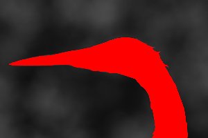 egret_face_17