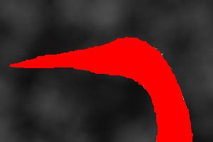 egret_face_22