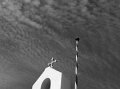 src_BW