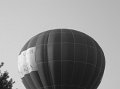 src_BW