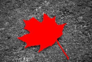 leafpav_26