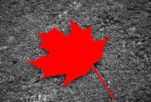 leafpav_27