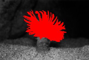 tendrils_40