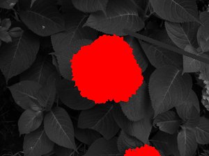 nitpix_P1280114_27