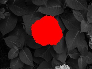 nitpix_P1280114_33