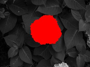 nitpix_P1280114_35