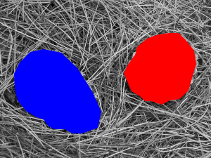 000_4009_15